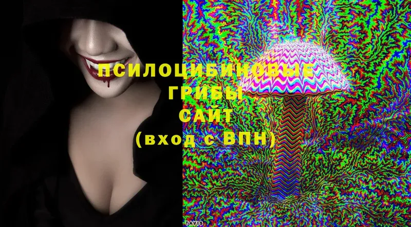 Галлюциногенные грибы Cubensis  Пучеж 